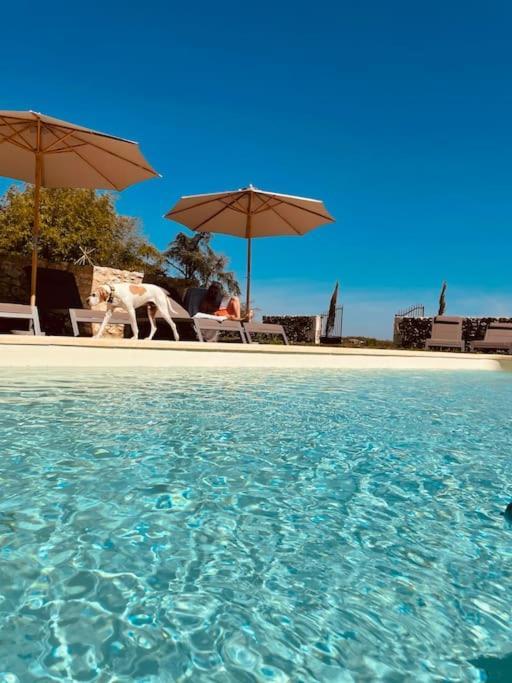Dome Insolite Lichen Jacuzzi Et Petits-Dejeuners Inclus Gondrin Zewnętrze zdjęcie